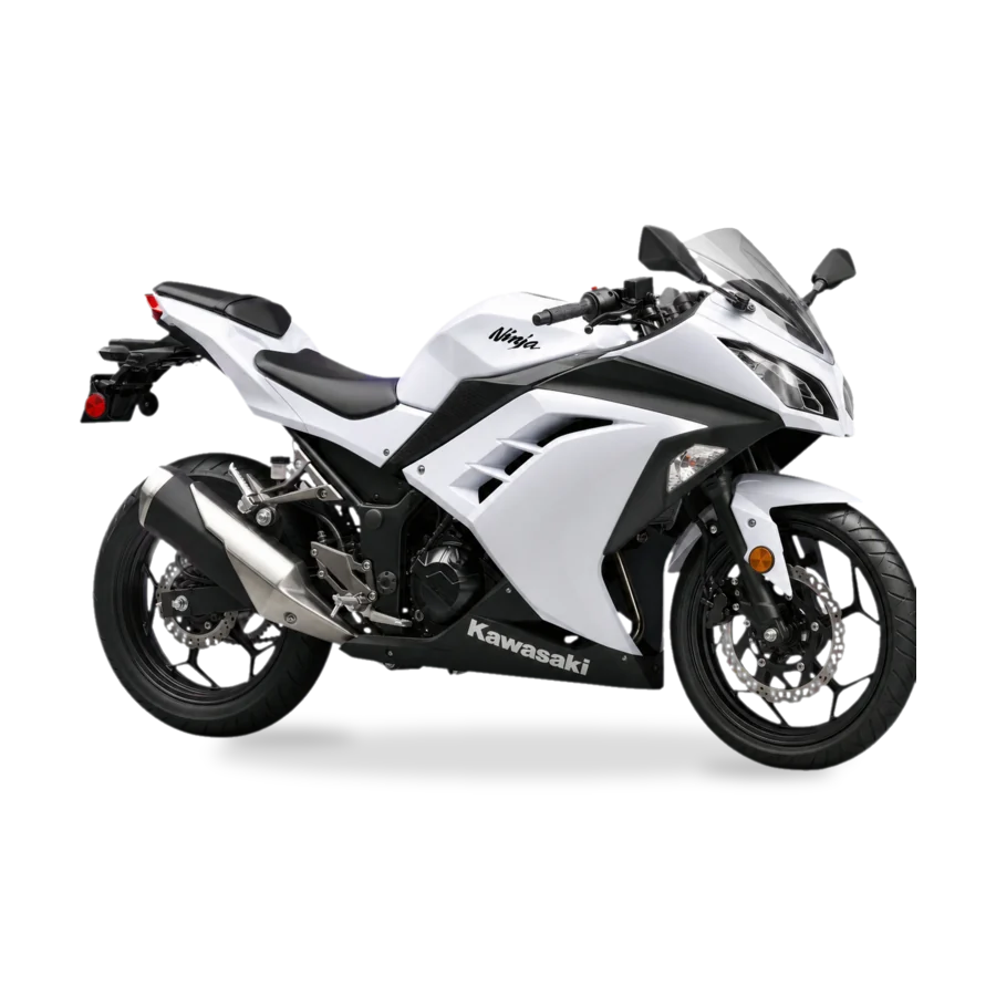 Kawasaki Ninja 300 2013, side profile
