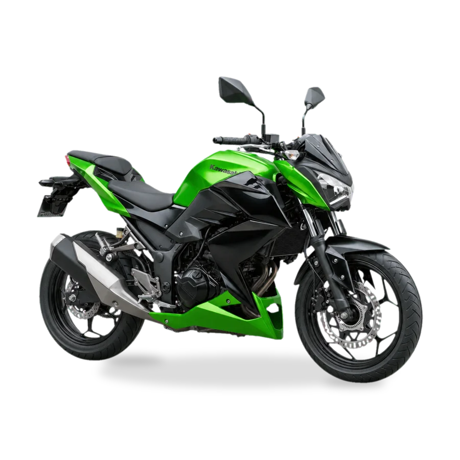 Kawasaki Z300 naked motorcycle side view