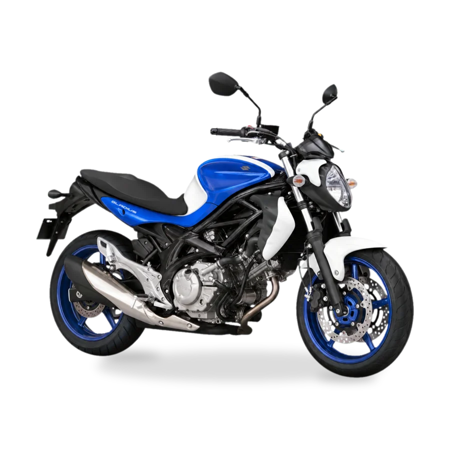Suzuki Gladius 650
