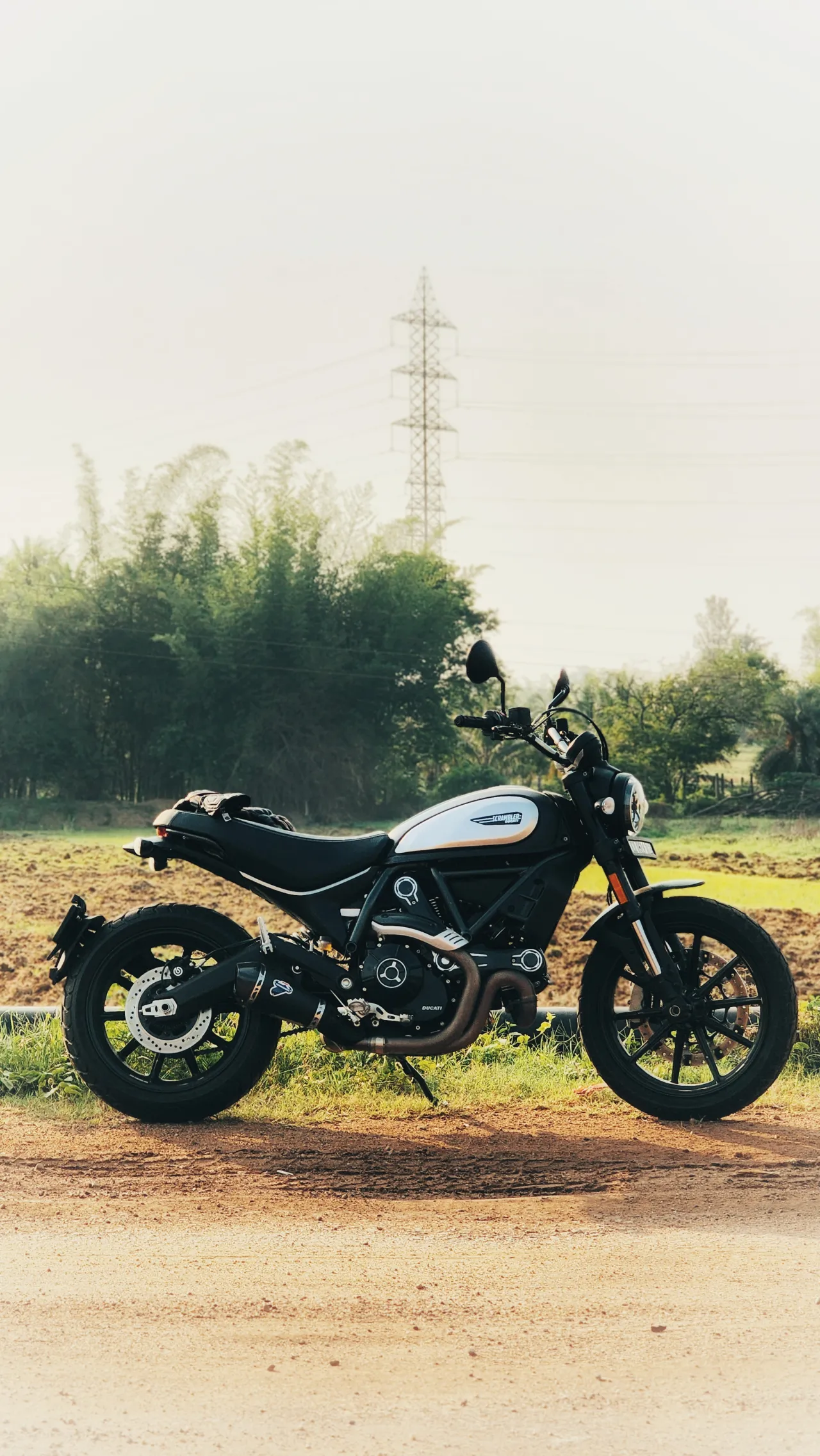 Ducati Scrambler Icon