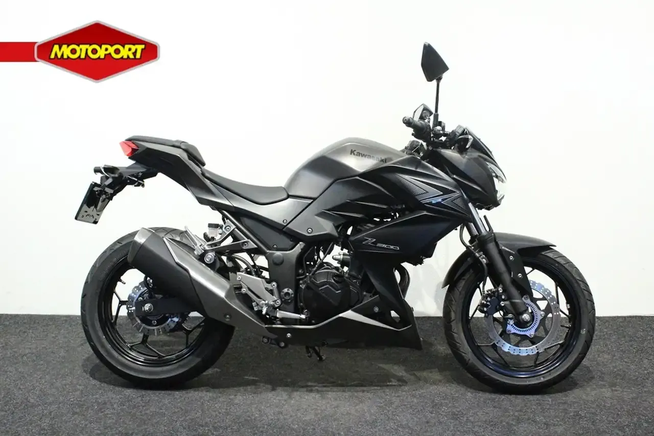Kawasaki Z300 naked motorcycle side view