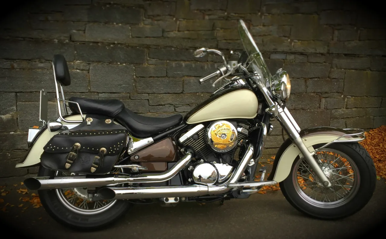 Kawasaki VN 800 Classic 1997 side profile