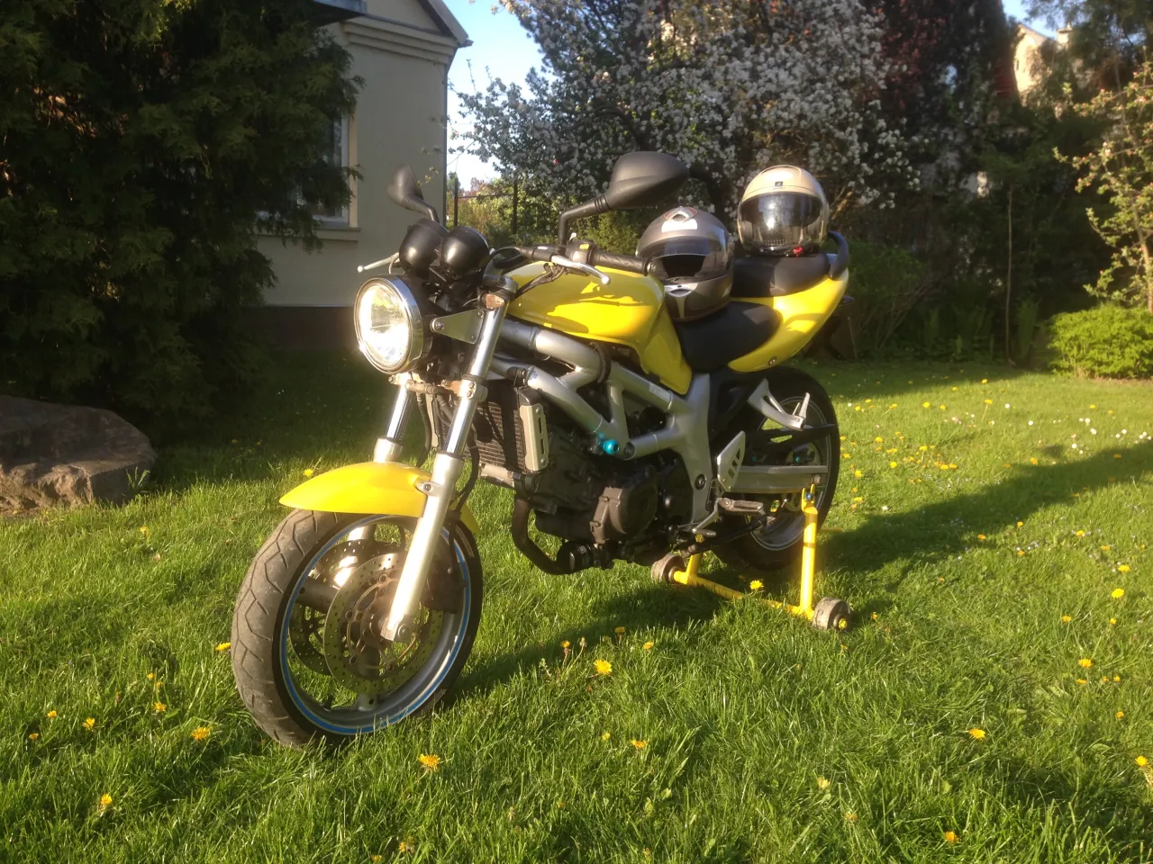 Suzuki SV650 naked motorfiets van opzij