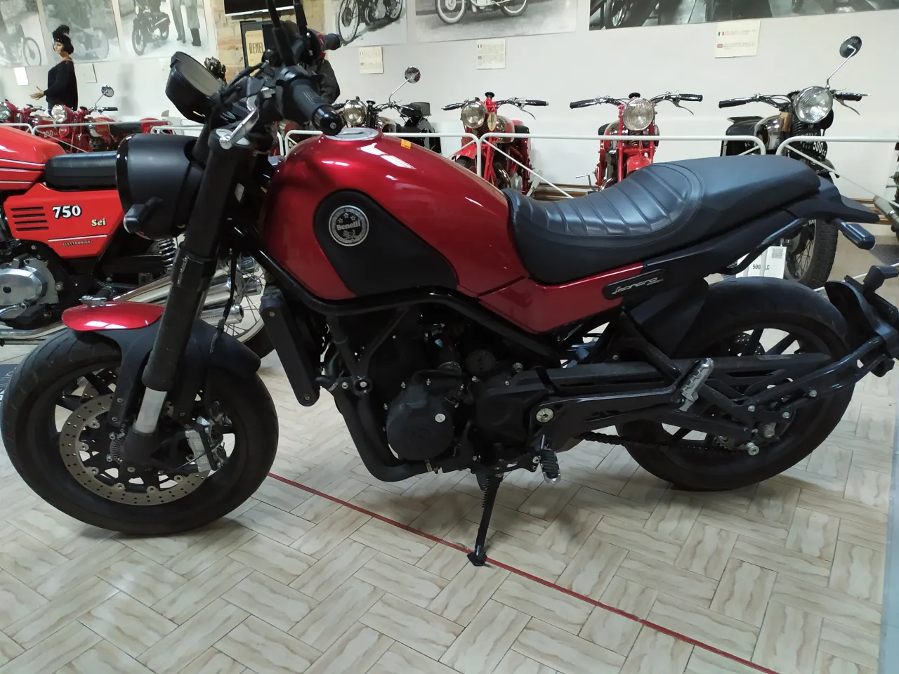 Benelli Leoncino 500 studio
