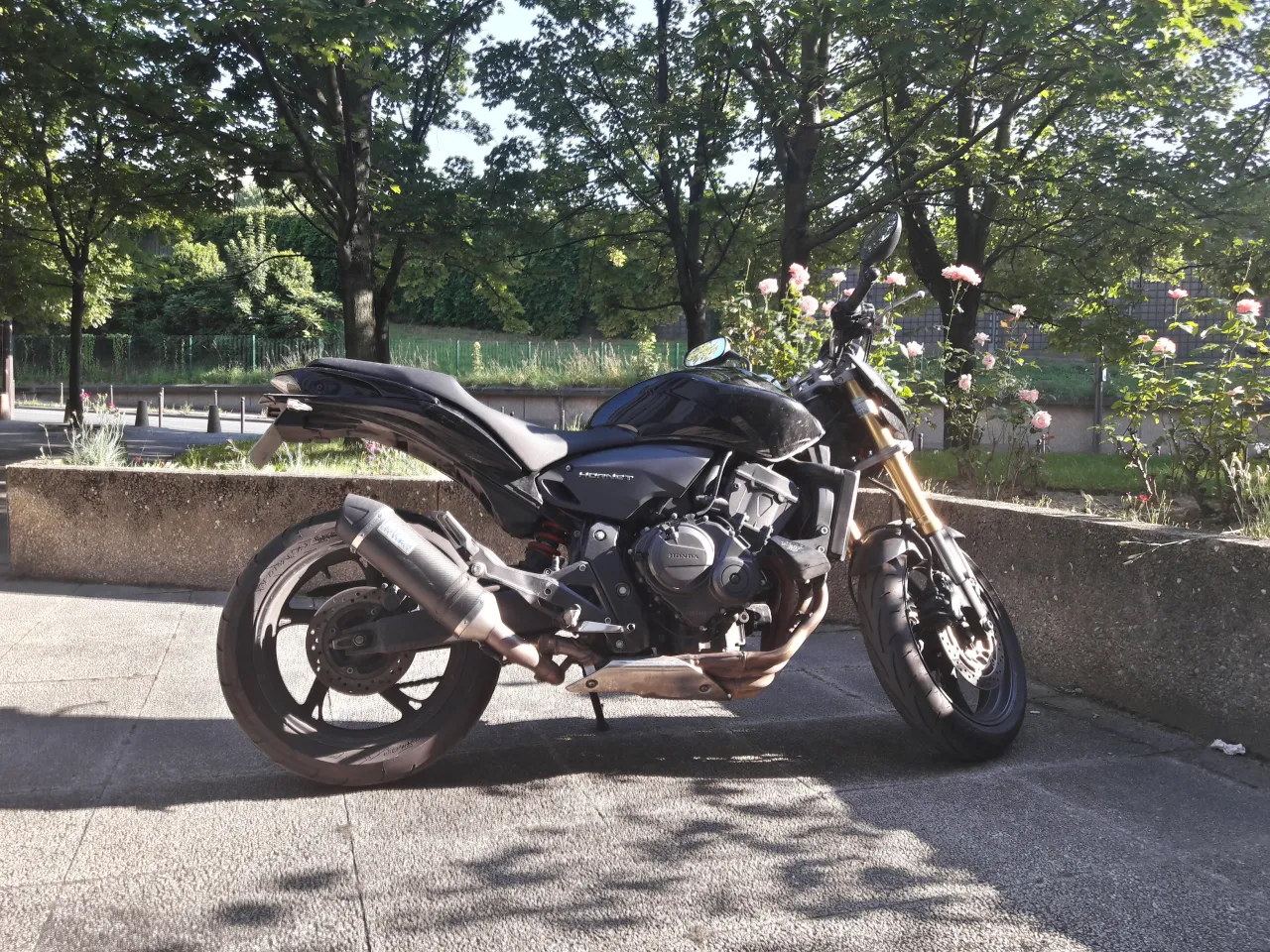 Honda Hornet 600 naked viercilinder