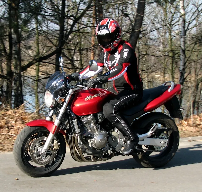 Honda CB600F Hornet 1998 PC34 zijaanzicht