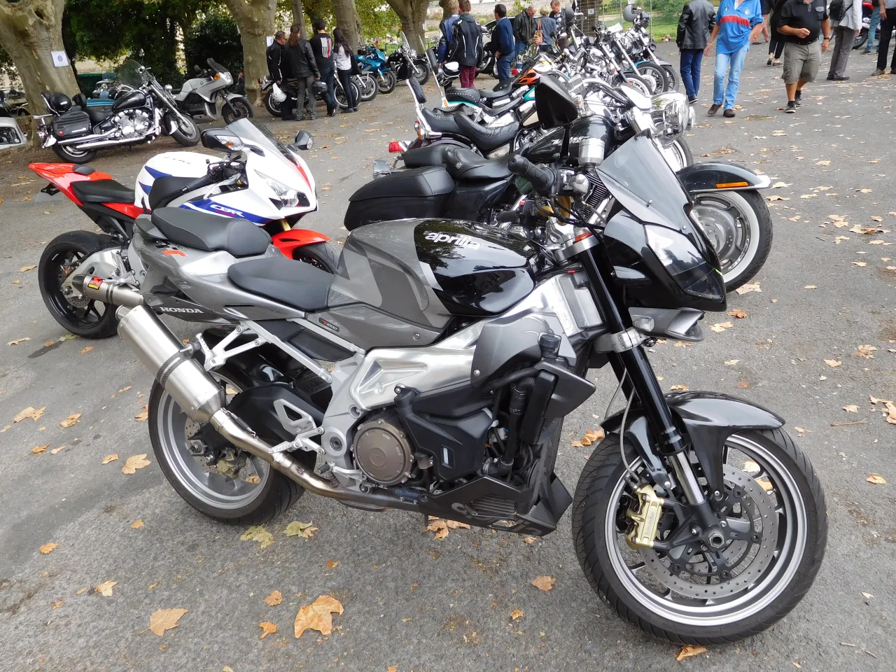 Aprilia Tuono 1000 right side profile