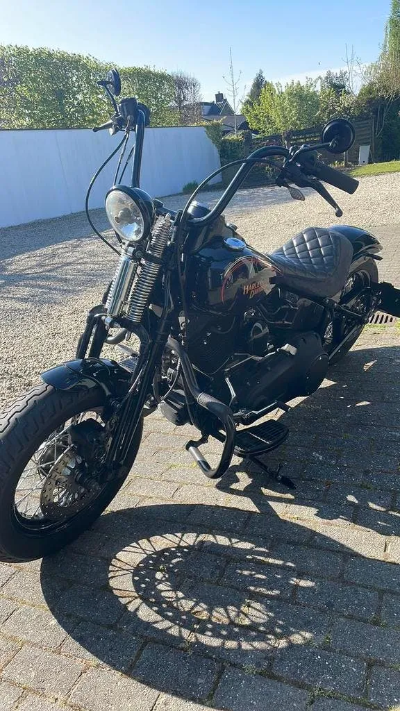 Harley Davidson Cross Bones
