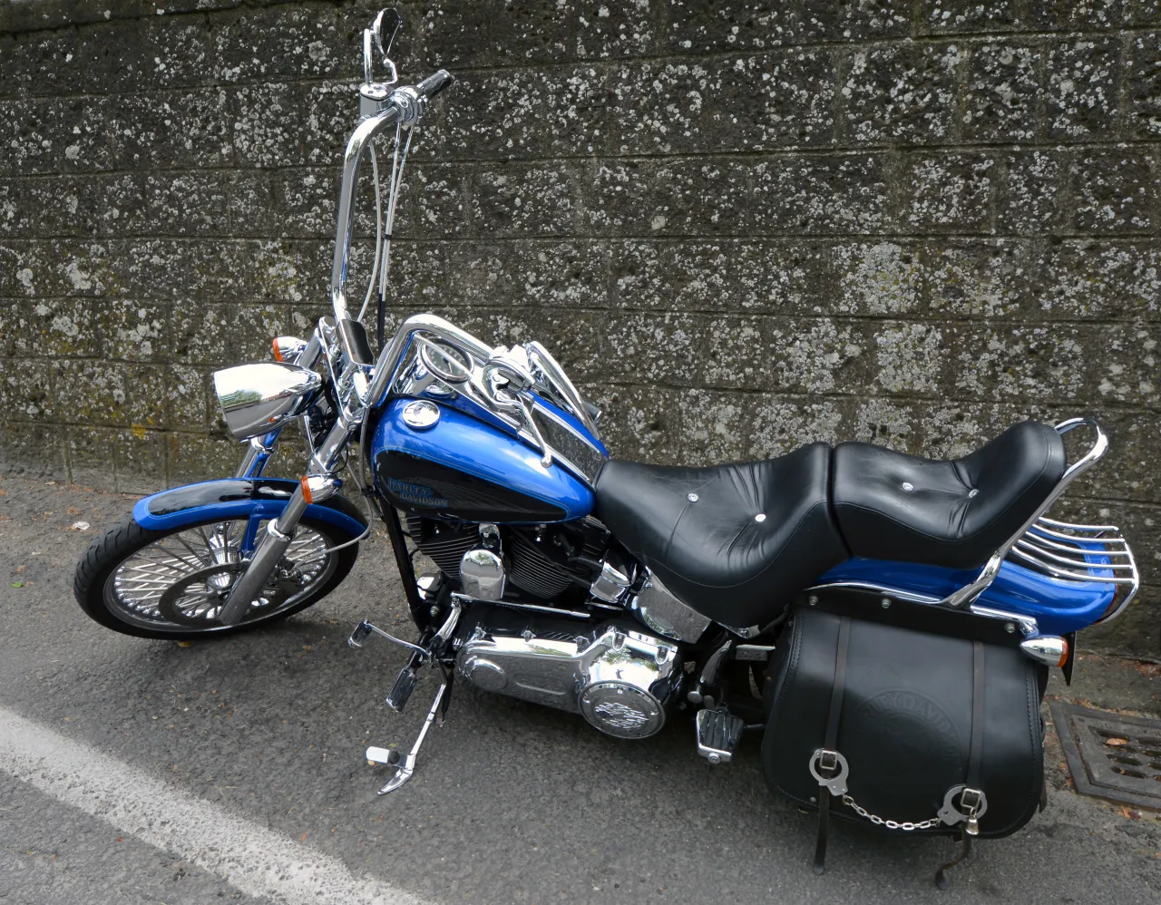 Harley-Davidson Dyna Street Bob, side profile