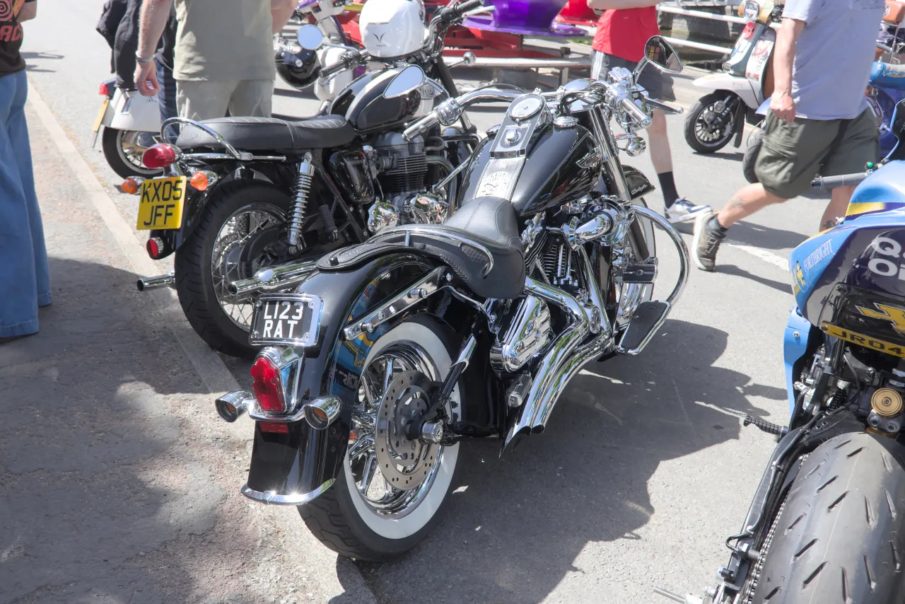 Harley-Davidson FLSTN Softail Deluxe side profile