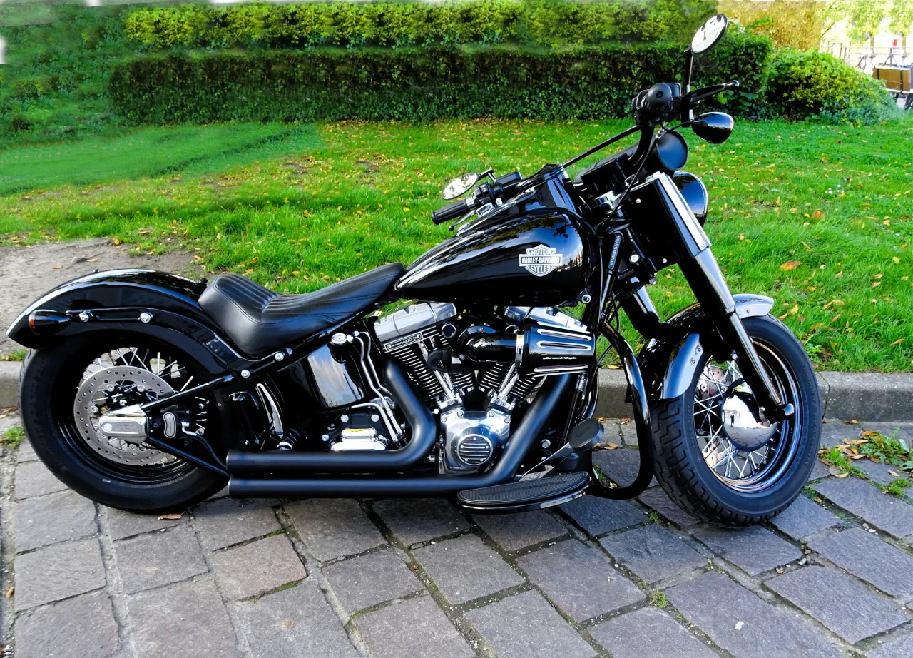 2008 Harley-Davidson Softail Springer Screamin Eagle side view