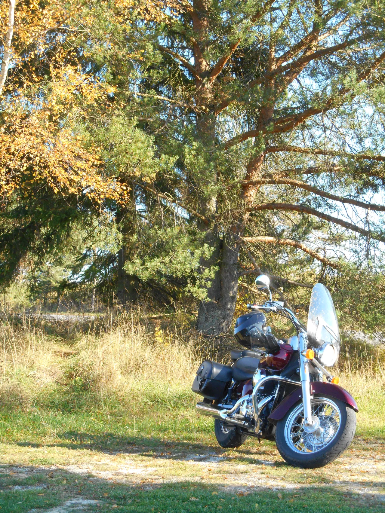 Honda VT750C Shadow classic uitvoering