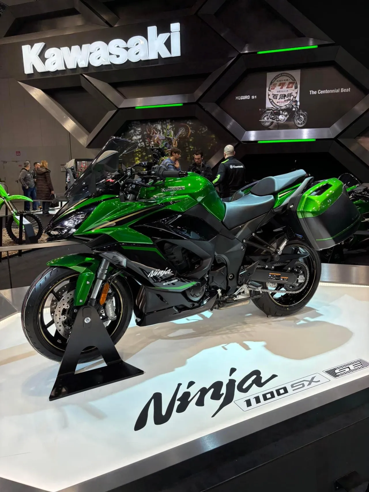Kawasaki Ninja 1100SX SE, zijaanzicht