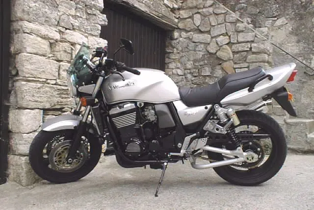 Kawasaki ZRX1100 side profile
