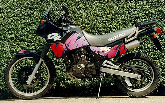Suzuki DR650RSE trail motor