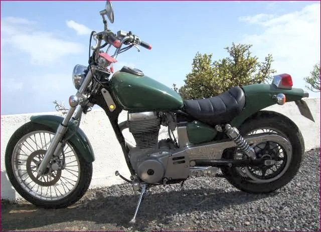 Suzuki LS650 Savage linker zijaanzicht
