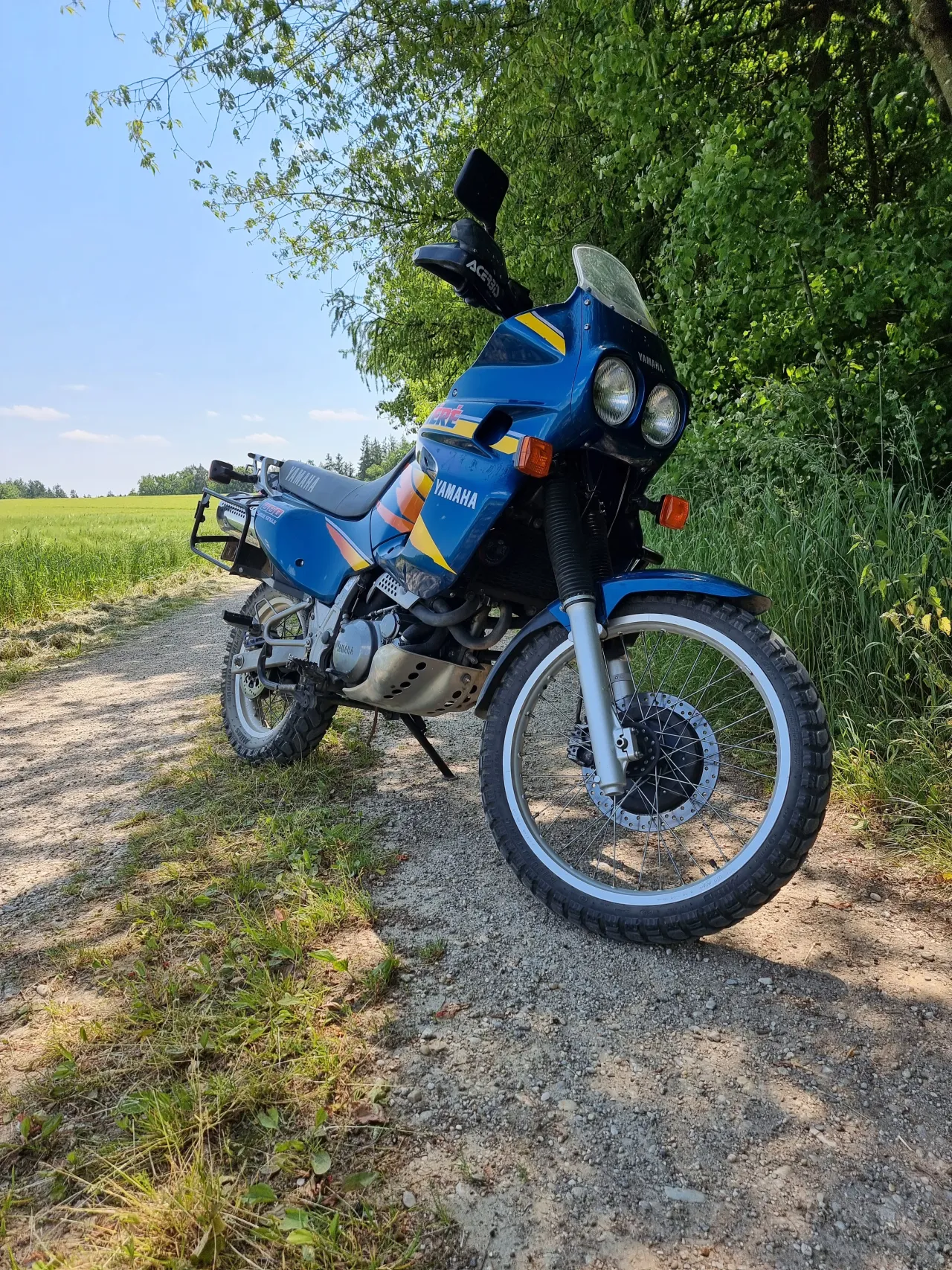 Yamaha XTZ 660 motor