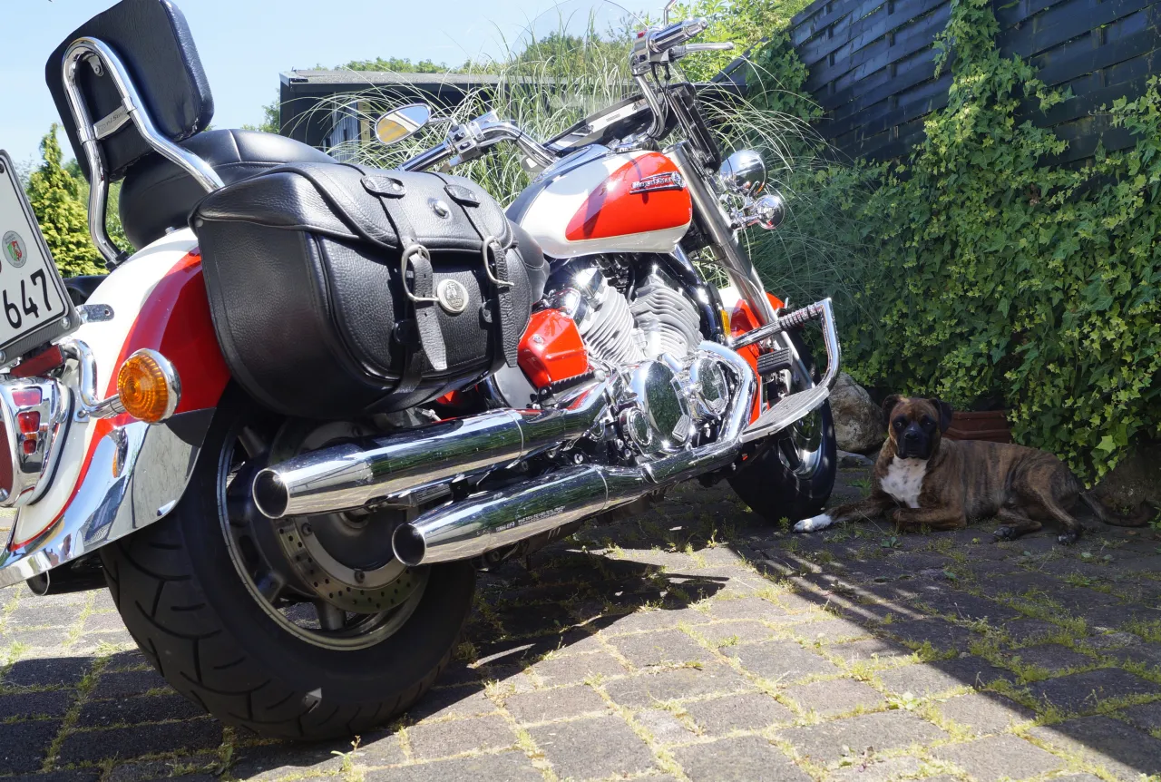 Yamaha XVZ 1300 Royal Star zijaanzicht