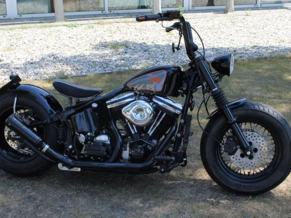 1990 Harley-Davidson Softail Custom Fxst - €17,500 (1/1)