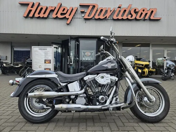 1995 Harley-Davidson Heritage Special - €9,950 (1/1)