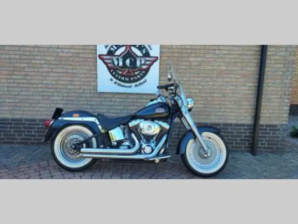 2001 Harley-Davidson Fat Boy Flstf - €8,500 (1/1)