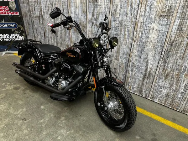 2008 Harley-Davidson Cross Bones Flstsb - € 14.999 (1/1)