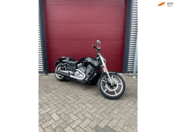 2012 Harley-Davidson V-Rod Muscle Vrscf - €10,950 (1/1)
