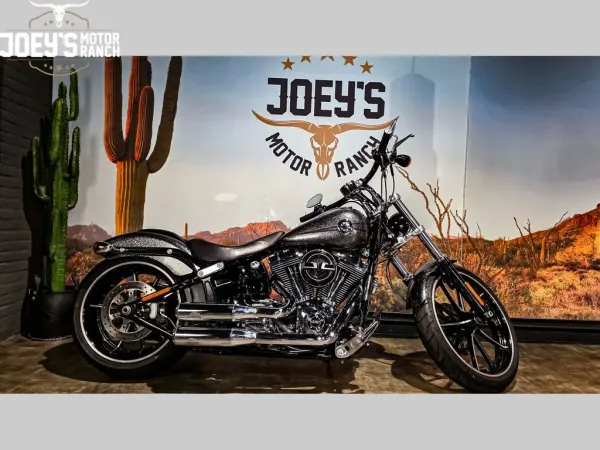 2013 Harley-Davidson Breakout FXSB - € 18.750 (1/1)