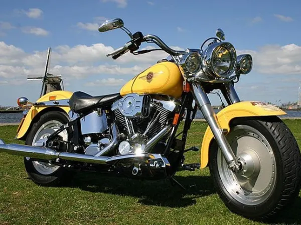 2000 Harley-Davidson Fat Boy - €12,500 (1/1)