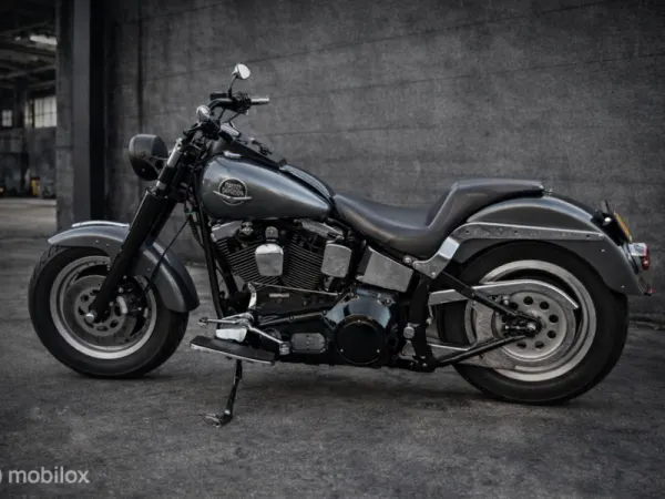 1995 Harley-Davidson Fat Boy - €9,500 (1/1)