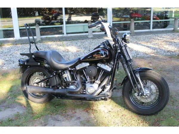 2009 Harley-Davidson Cross Bones Flstsb - € 13.950 (1/1)