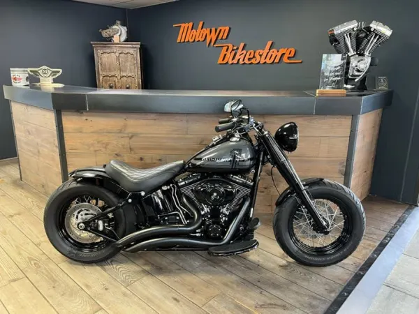2009 Harley-Davidson FLS Softail Custom Special Paint Custom Rear - € 16.899 (1/1)
