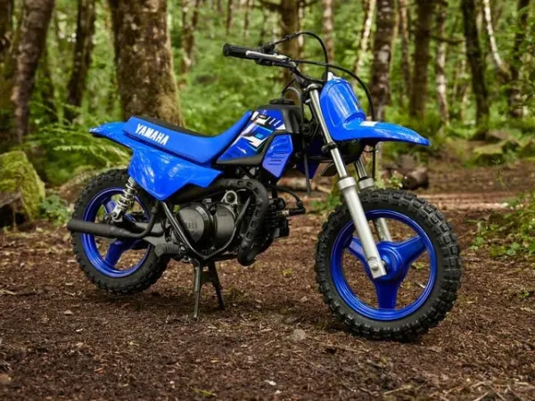2025 Yamaha PW 50 - € 2.349 · Bieden (1/1)