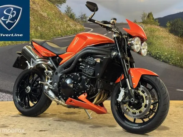 2009 Triumph Speed Triple 1050 - € 5.750 (1/1)