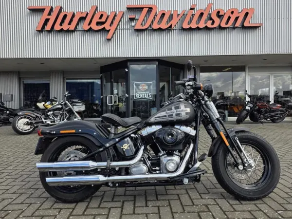 2009 Harley-Davidson Cross Bones - € 16.950 (1/1)