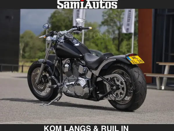 2005 Harley-Davidson Heritage Softail - € 14.950 (1/1)