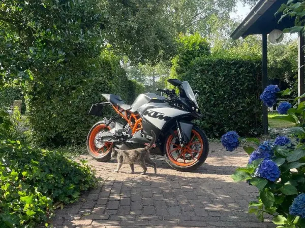 2015 KTM RC 390 - € 2.750 (1/1)
