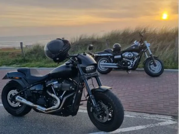 2019 Harley-Davidson Fat Bob 114 Fxfbs - €20,999 (1/1)