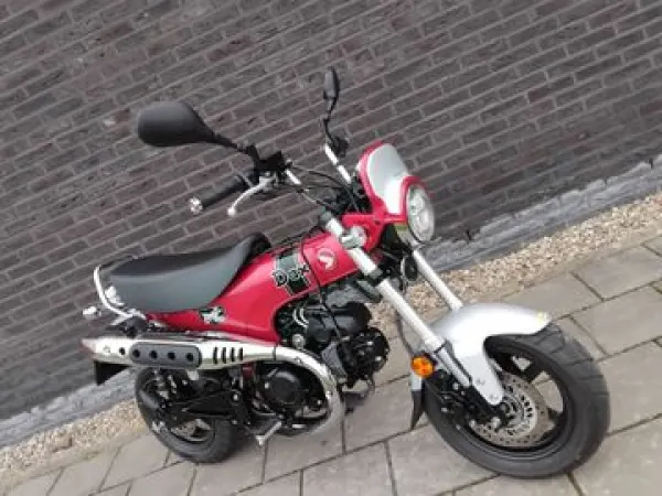 2024 Honda St 125 Dax - € 4.650 (1/1)