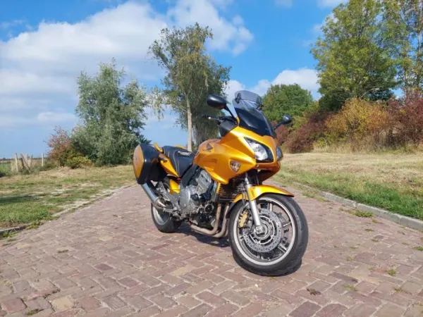 2008 Honda CBF 1000 - Bidding (1/1)