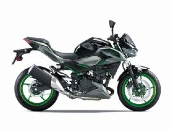 2025 Kawasaki Z 500 SE - € 6.890 (1/1)