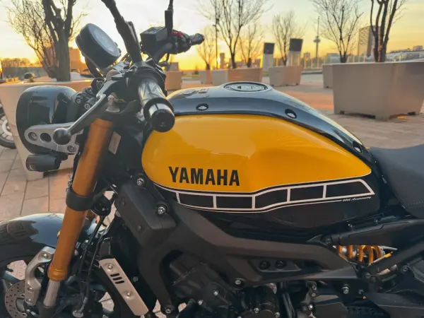 2016 Yamaha XSR 900 - €8,250 (1/1)