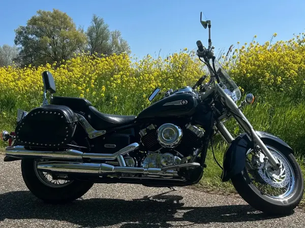 2005 Yamaha XVS 650 - € 2.950 (1/1)