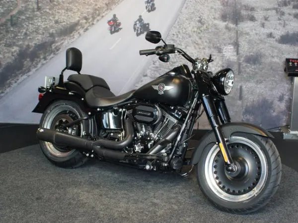 2017 Harley-Davidson Fat Boy S Flstfbs - €19,990 (1/1)