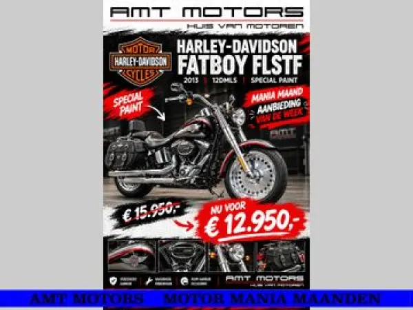 2013 Harley-Davidson Fat Boy Flstf - € 12.950 (1/1)