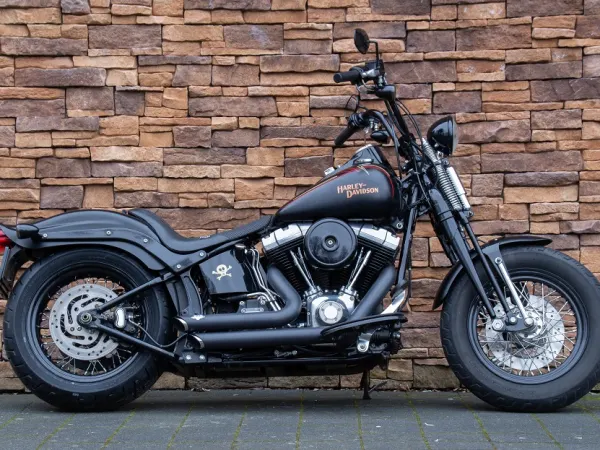 2009 Harley-Davidson Flstsb Cross Bones Softail (bj 2009) - €14,950 (1/1)