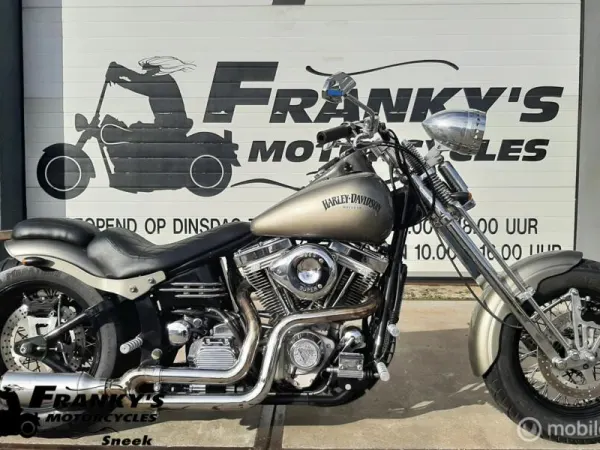 2020 Harley-Davidson P.W. Custom Eigenbouw Springer - €23,950 (1/1)