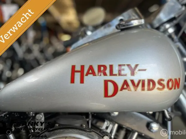 1973 Harley-Davidson FLH 1200 Elektra Glide Shovelhead - Price on request (1/1)