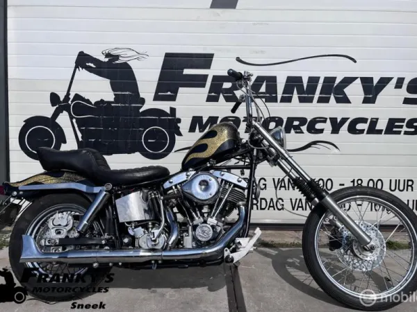 1980 Harley-Davidson FXE 1200 Shovelhead - Price on request (1/1)