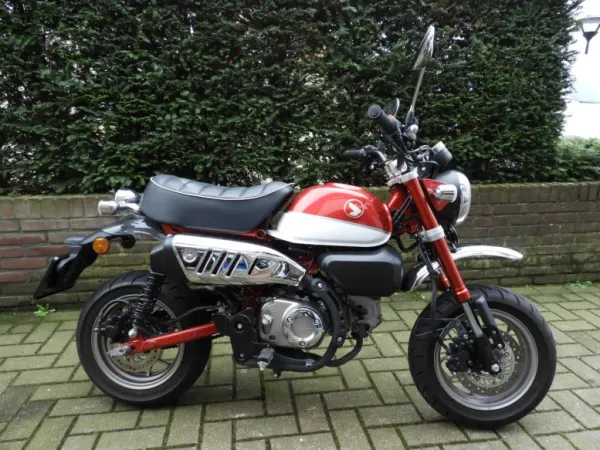 2018 Honda Monkey Z 125 / A1 & A2 Rijbewijs - € 4.290 (1/1)